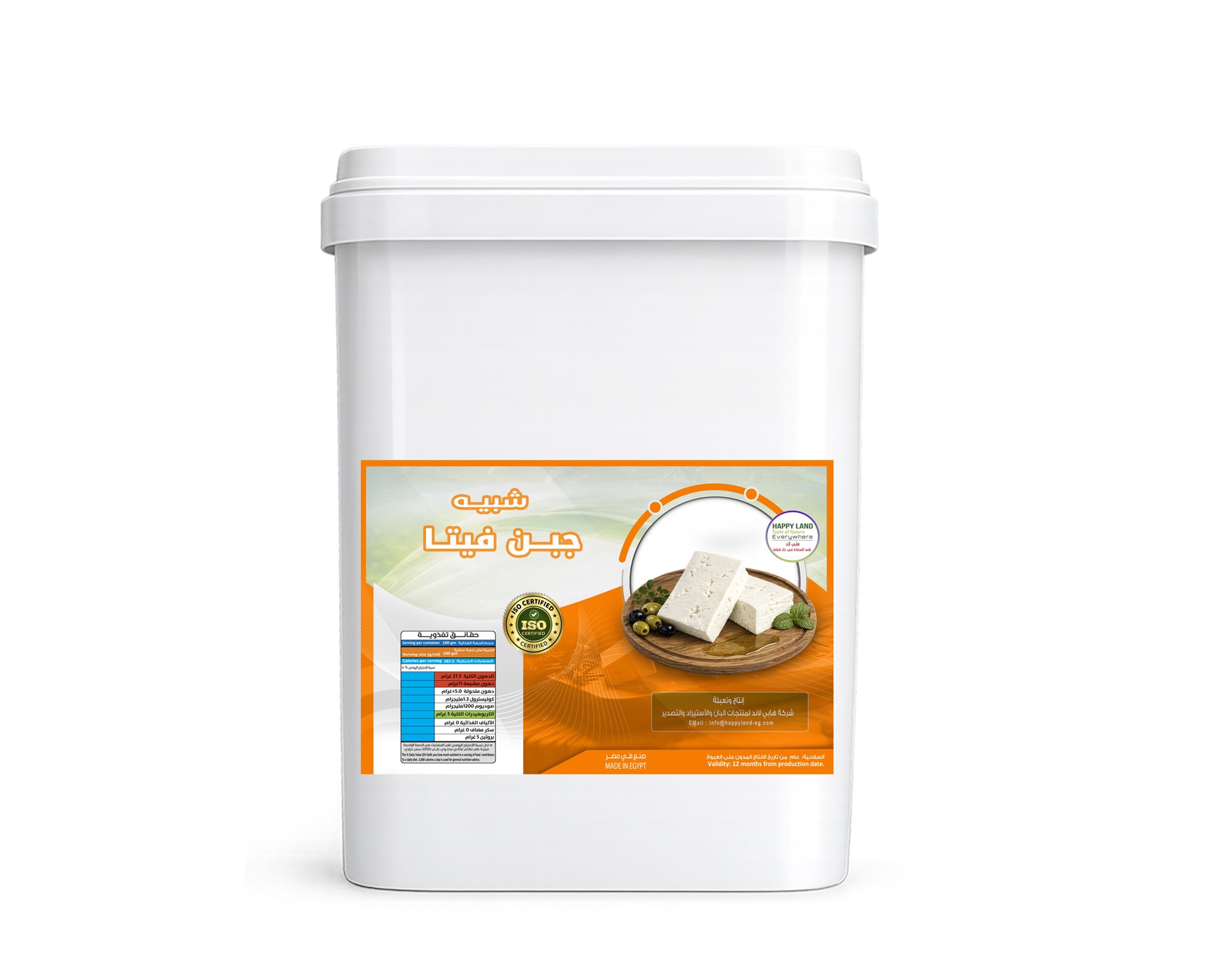 Analogue Feta Cheese